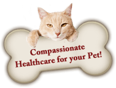 Compassionate Healthcare for your Pet!