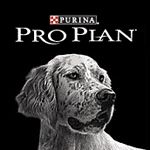 Link to Pro Plan Website