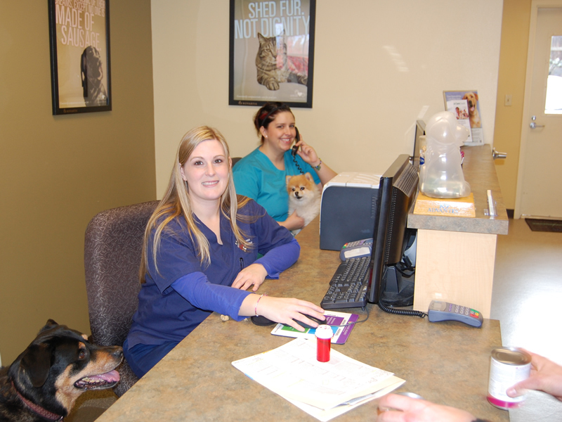 Everyone is always there to assist our clients and patients in need...